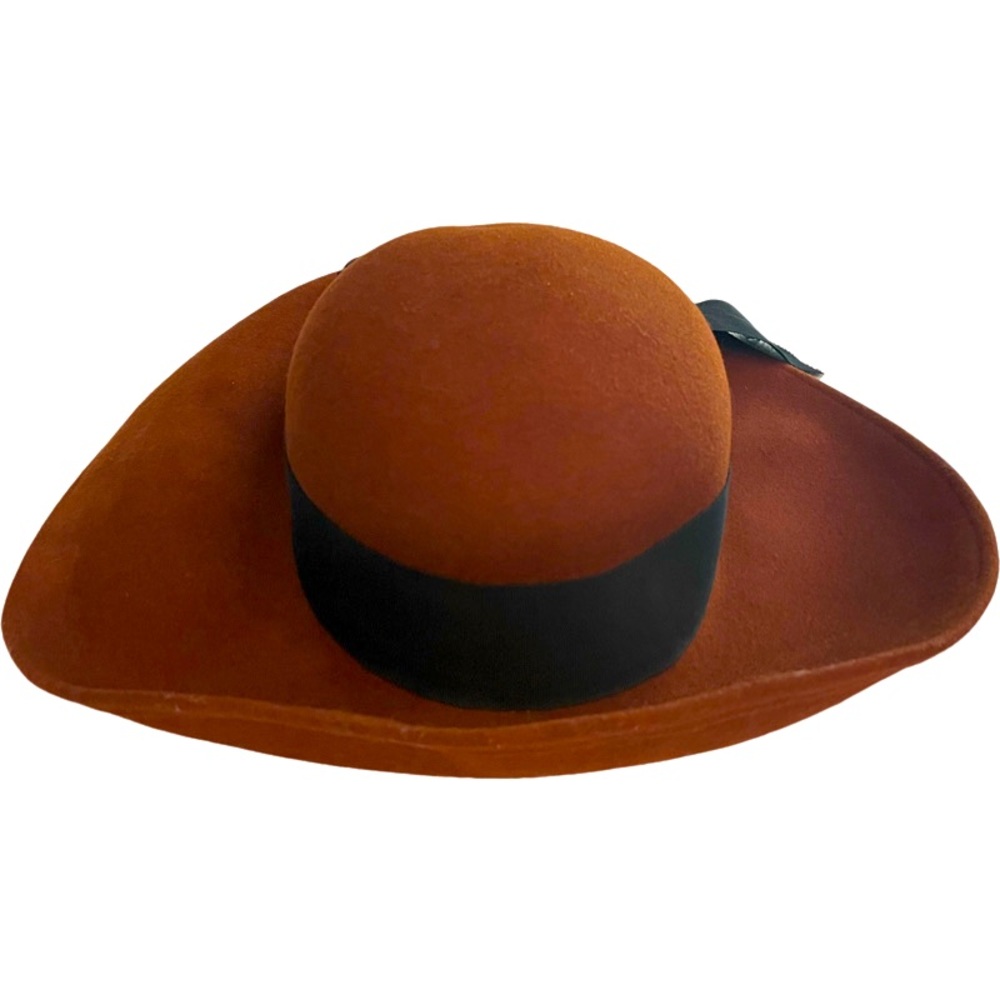 Beautiful Felt brim hat